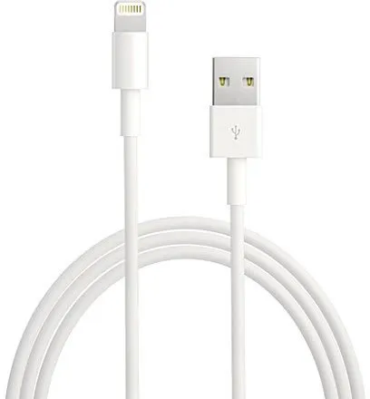 Apple Genuine USB Charger A1399 & Lightning Charging Cable MD818