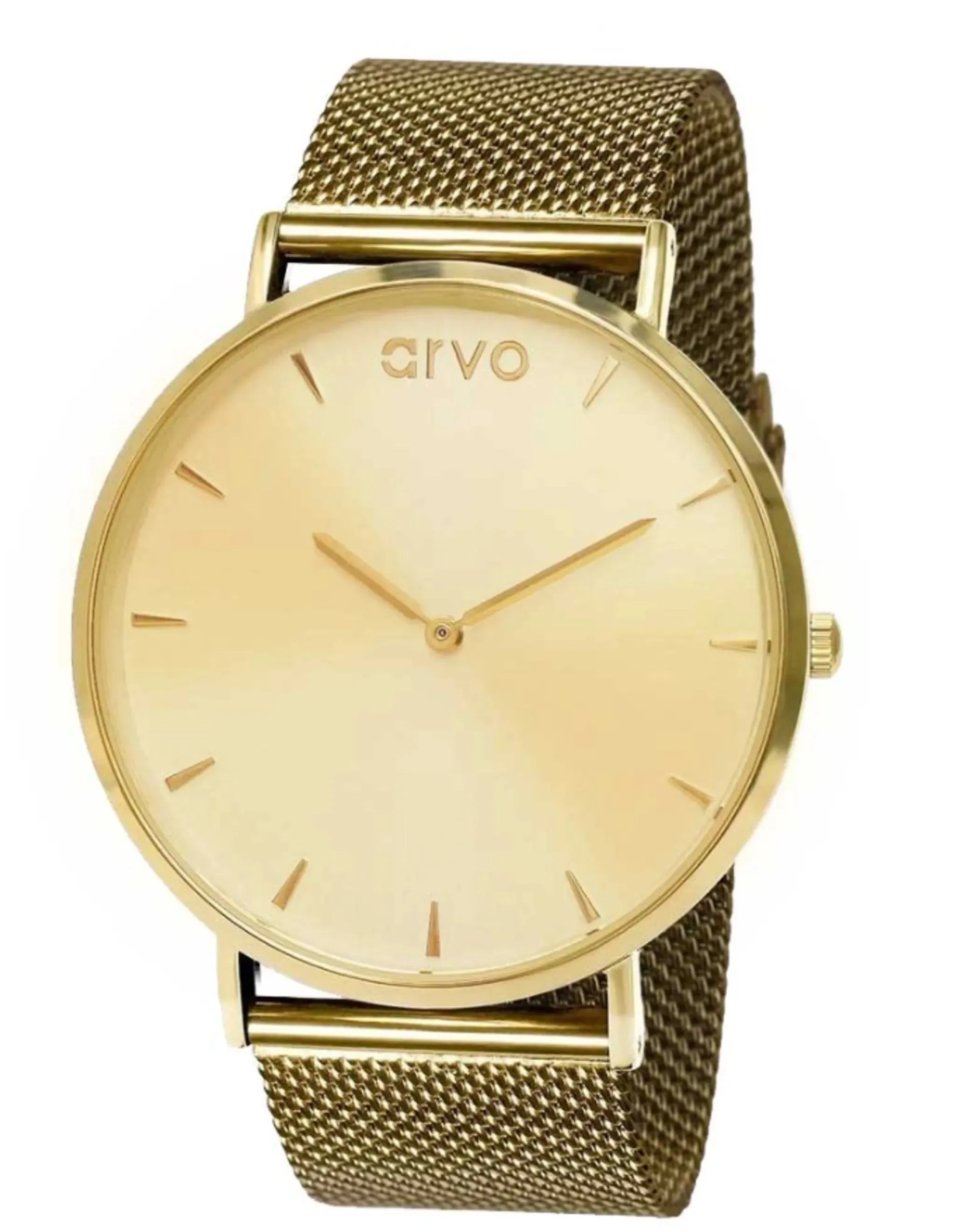 Arvo Leonardo Watch