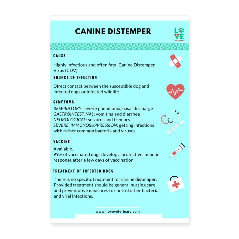 Canine Distemper Poster 8x12