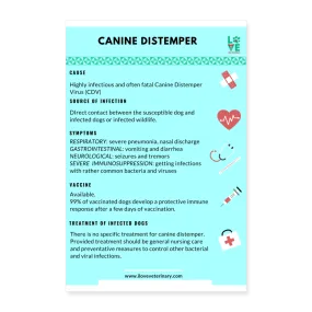 Canine Distemper Poster 8x12