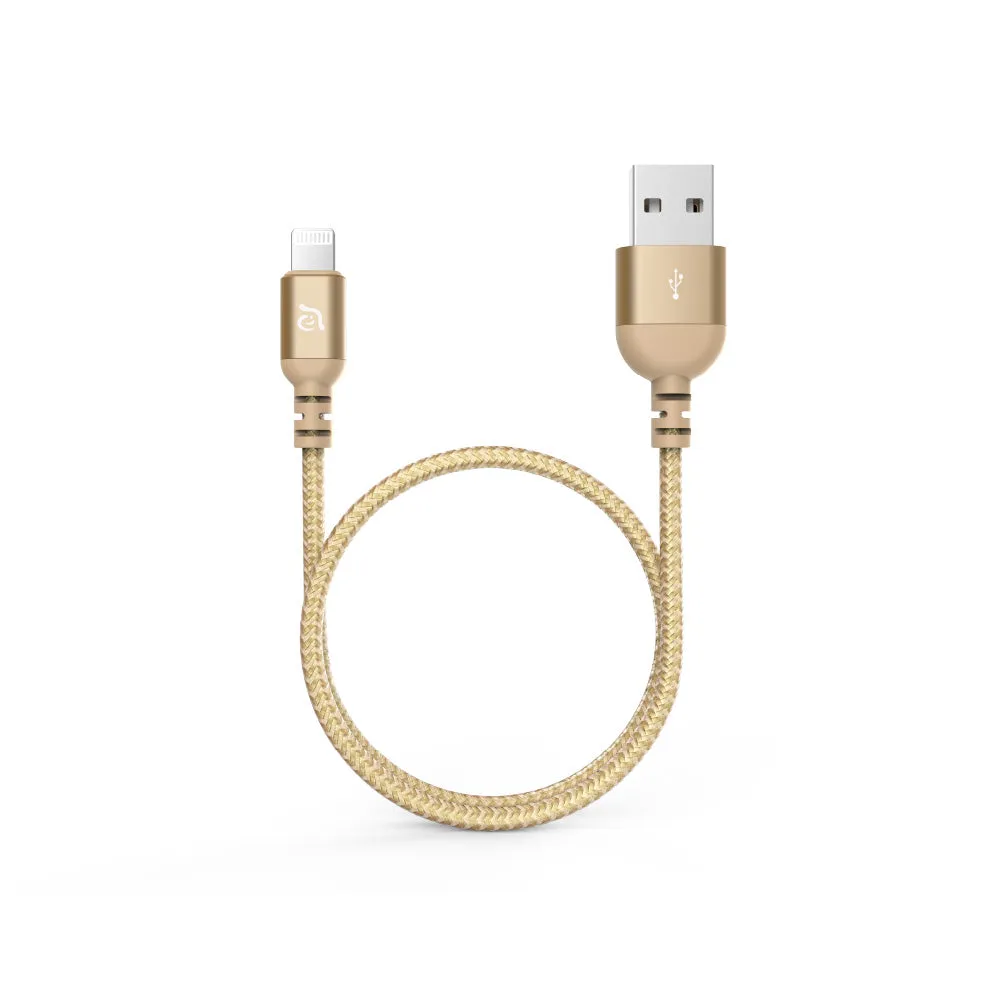 CASA HUB Pro Max USB-C 3.1 Gen 2 & 4K60Hz 13-in-1 Hub   Apple MFi-Certified USB-A to Lightning Cable 3.9 FT