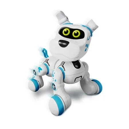 Crazy Pet Buddy Bot