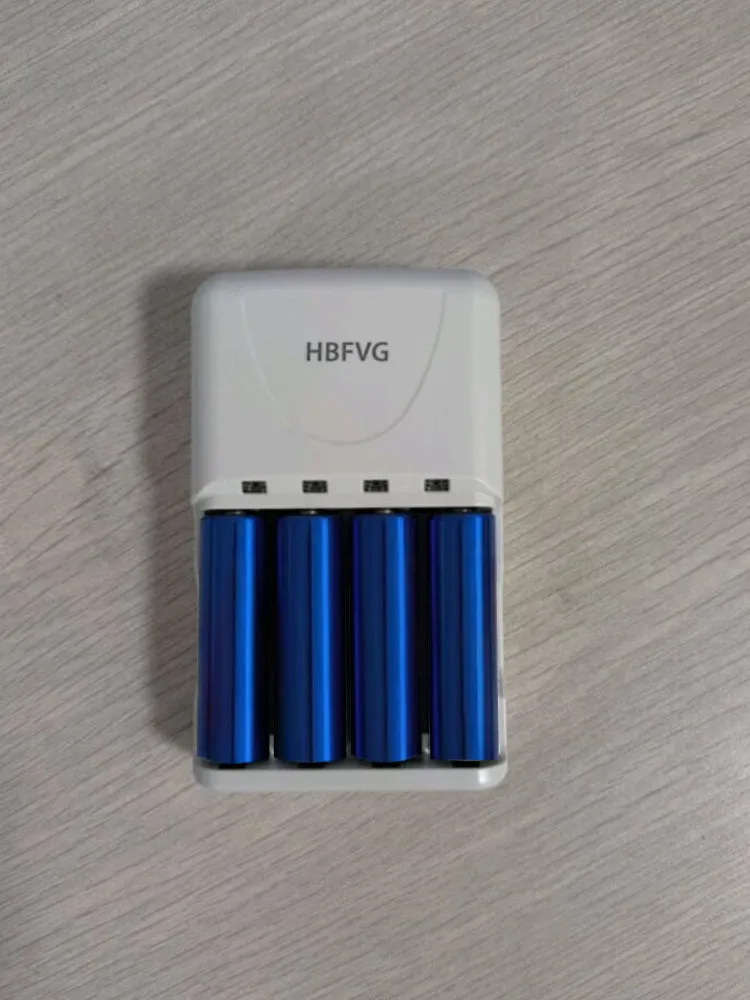 HBFVG Chargers for batteries, Basic Charger for Rechargeable Batteries