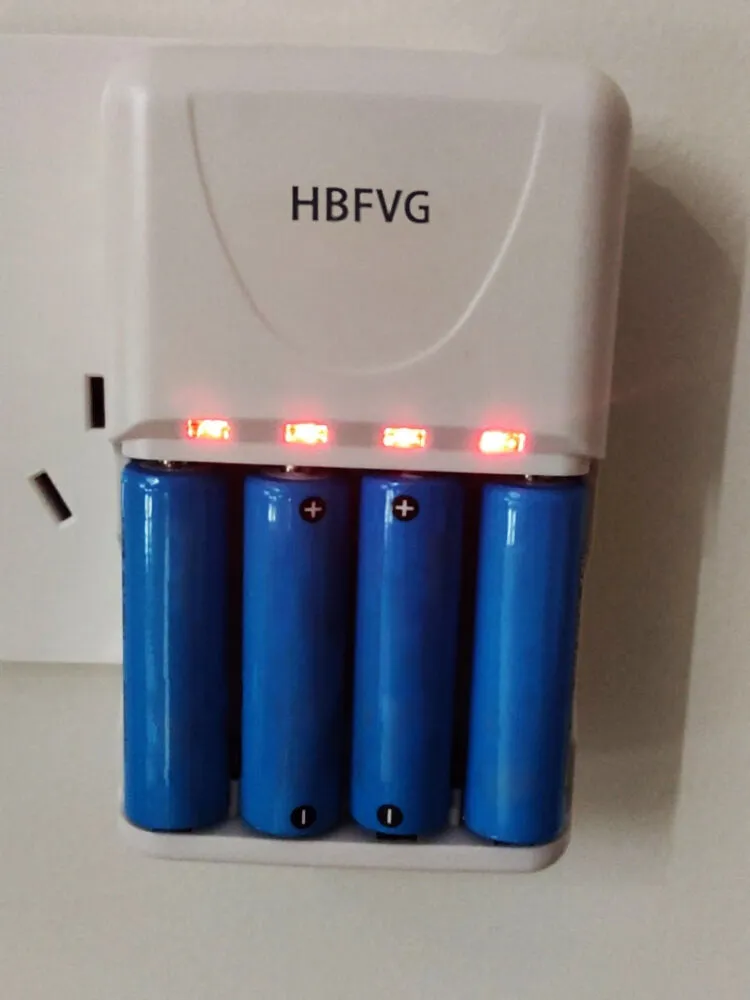 HBFVG Chargers for batteries, Basic Charger for Rechargeable Batteries