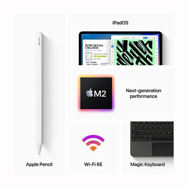 iPad Pro 11 Inch Display 256 GB (2022)