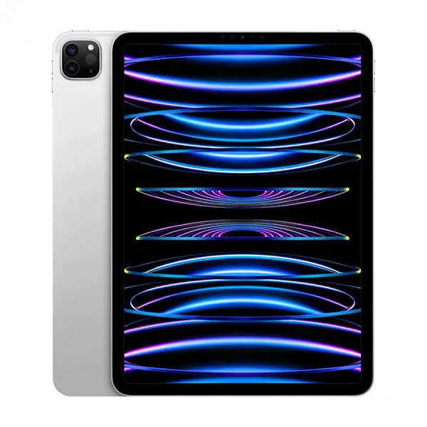 iPad Pro 11 Inch Display 256 GB (2022)