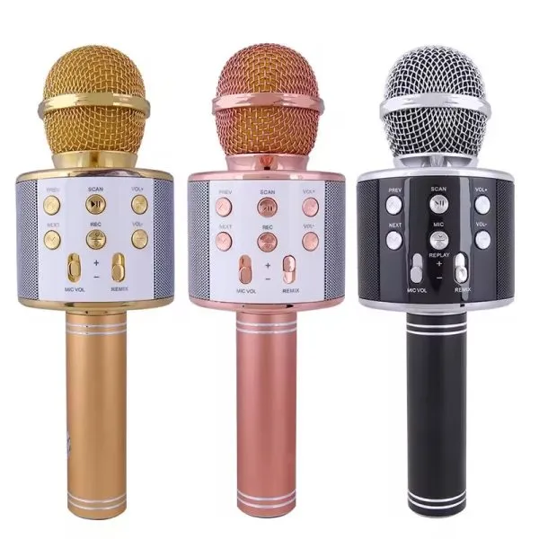 Microphone Loud Speaker For Speech Good For Kids & Students (random Color)ws-858