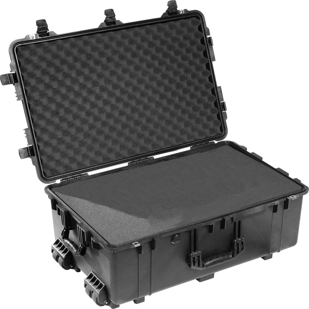 Pelican #1650 Case, Black