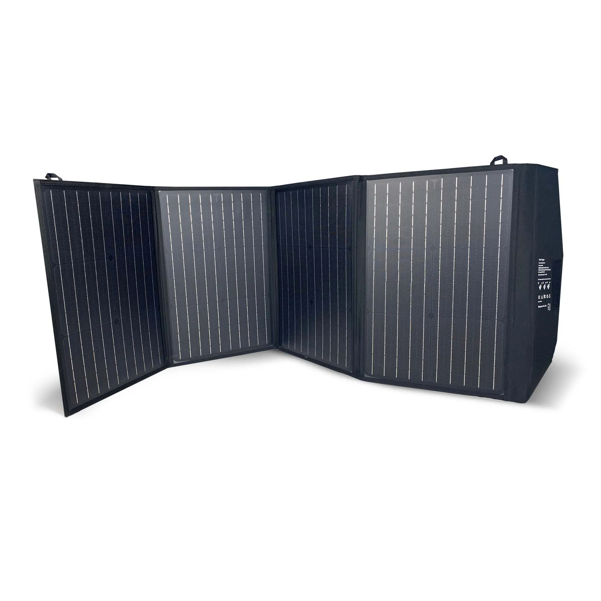 ReadyWise - Solar Panel (100W)