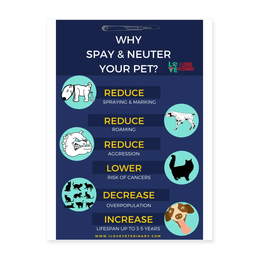 Why spay and neuter your pet Poster 18x24